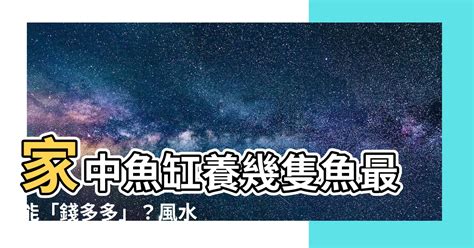 九隻魚|幾隻才可以？風水專家告訴你要「錢多多」，就要養這「幾隻」。